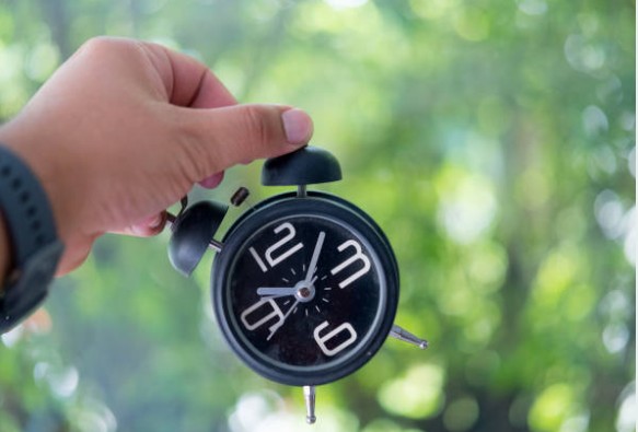 Hourly Rate vs Day Rate