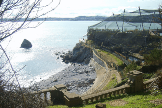 Living Coasts and Beacon Cove
