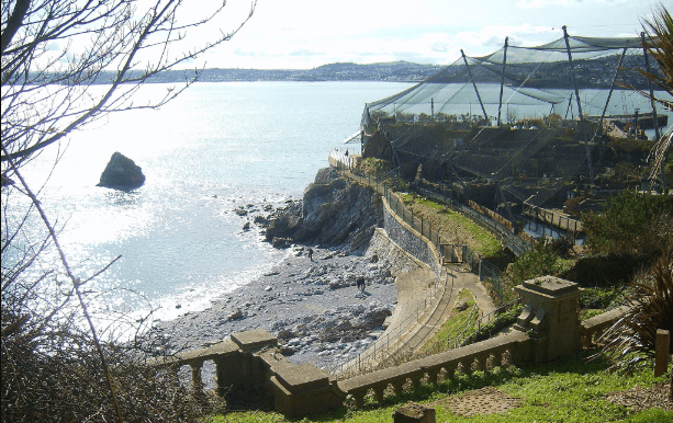 Living Coasts and Beacon Cove
