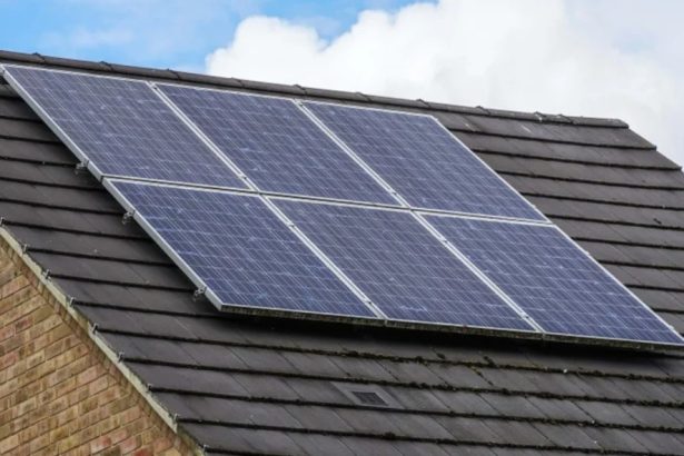 Are Solar Panels Worth It UK