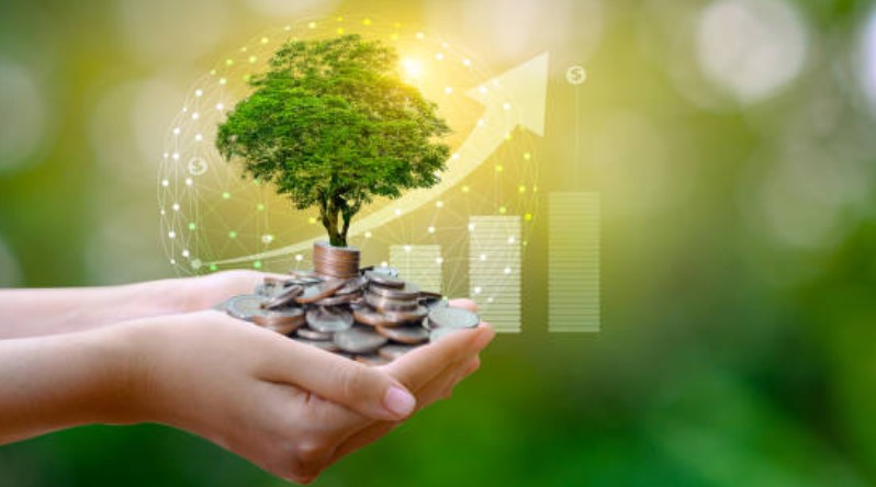 Current Economic Environment and Its Effects