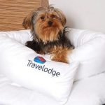 Is Travelodge Dog Friendly