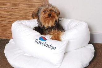 Is Travelodge Dog Friendly