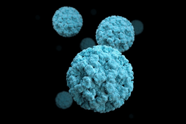 Norovirus