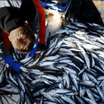 UK Fisheries Minister Daniel Zeichner speaks at Parliament as the UK rejects EU proposal linking fishing rights to defence negotiations.