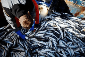 UK Fisheries Minister Daniel Zeichner speaks at Parliament as the UK rejects EU proposal linking fishing rights to defence negotiations.