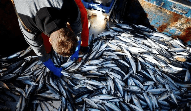 UK Fisheries Minister Daniel Zeichner speaks at Parliament as the UK rejects EU proposal linking fishing rights to defence negotiations.