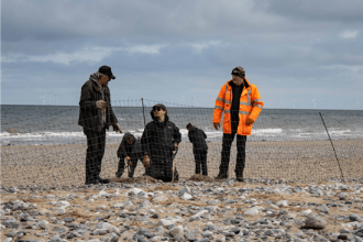 A secure perimeter is being built along the Gronant sand dunes to protect Little Terns returning from West Africa.