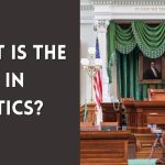 What Is the Whip in Politics
