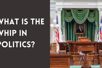 What Is the Whip in Politics
