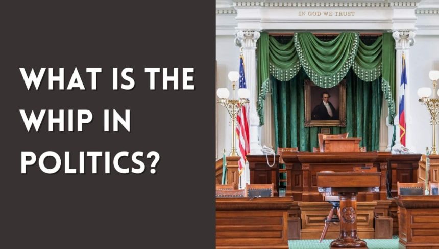 What Is the Whip in Politics
