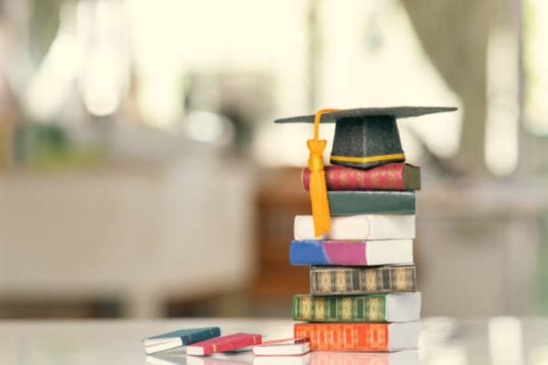 Why Is There No Maintenance Loan for master's