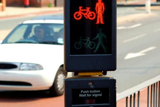 Why Is a Toucan Crossing Different from a Puffin Crossing