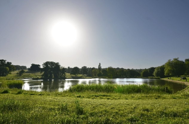 Hampstead Heath Pond