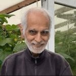Bhim Kohli