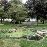 Chalkwell Park
