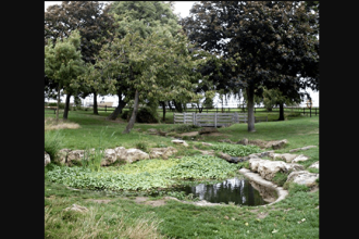 Chalkwell Park