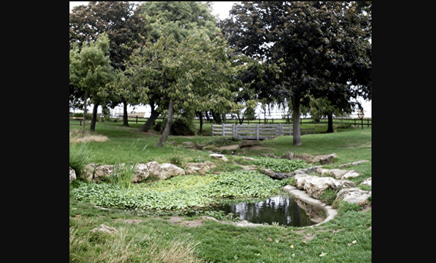 Chalkwell Park