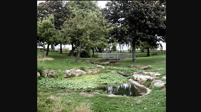 Chalkwell Park