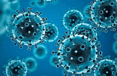 CoronaVirus