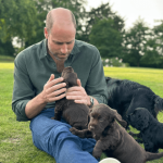 Prince William with puppies