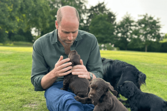 Prince William with puppies