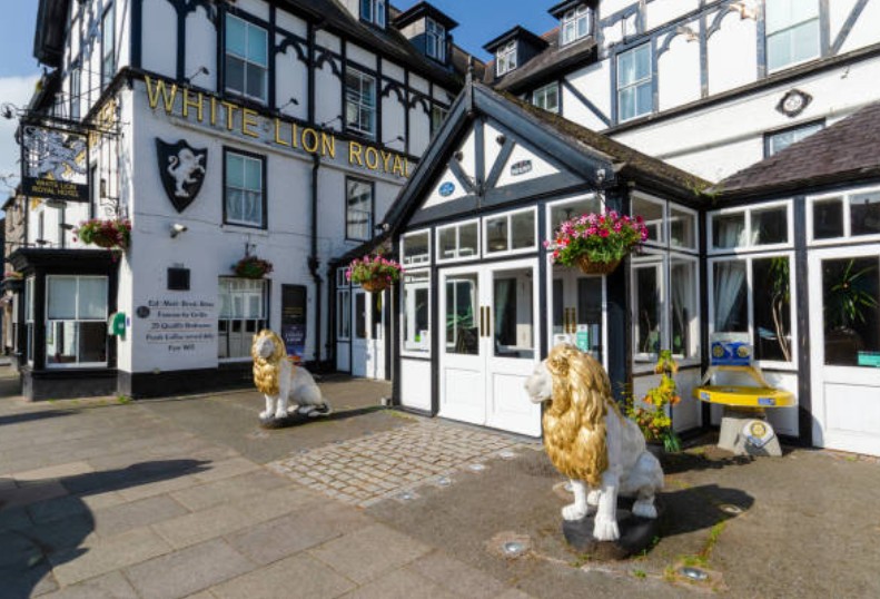 Travelodge vs. Other Dog-Friendly UK Hotels