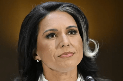 Tulsi Gabbard