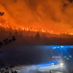 Wildfire