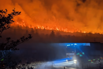 Wildfire