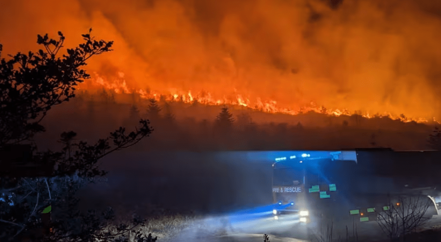 Wildfire