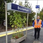 Brockenhurst (facebook)