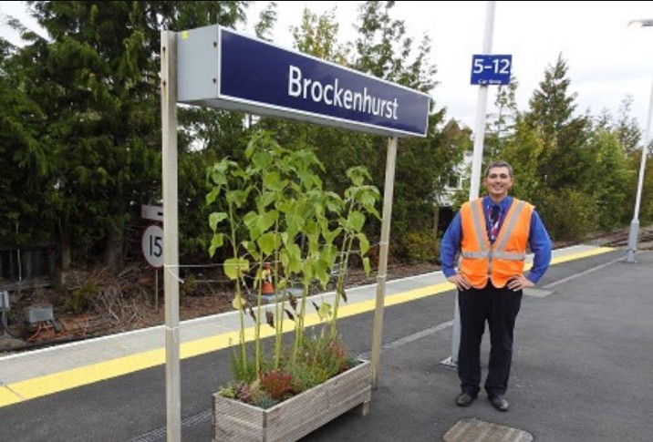 Brockenhurst (facebook)