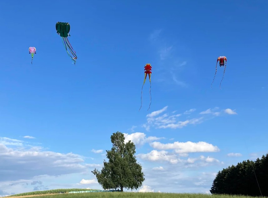 Portsmouth International Kite Festival