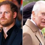 Prince Harry and King Charles