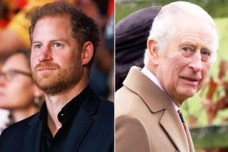 Prince Harry and King Charles