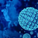 Norovirus