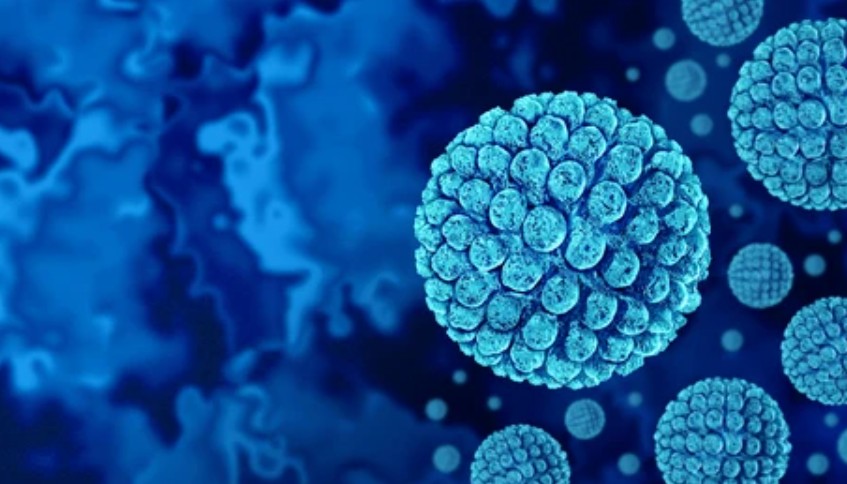 Norovirus