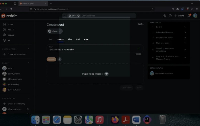 Troubleshoot Screenshot on a mac (reddit)