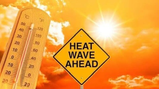 UK Heatwave (facebook)