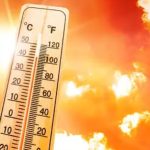 Temperatures (Google)