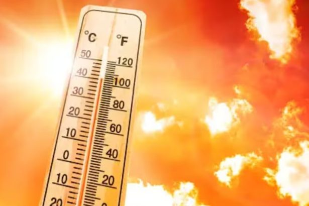 Temperatures (Google)
