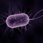 Antibiotic-Resistant Bacteria