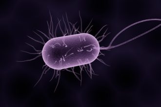 Antibiotic-Resistant Bacteria