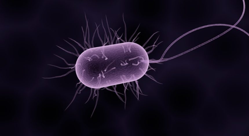 Antibiotic-Resistant Bacteria