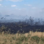 Dorset heath fire