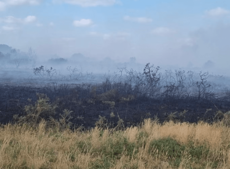 Dorset heath fire