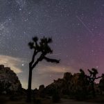 Perseid Meteor Shower