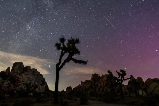 Perseid Meteor Shower