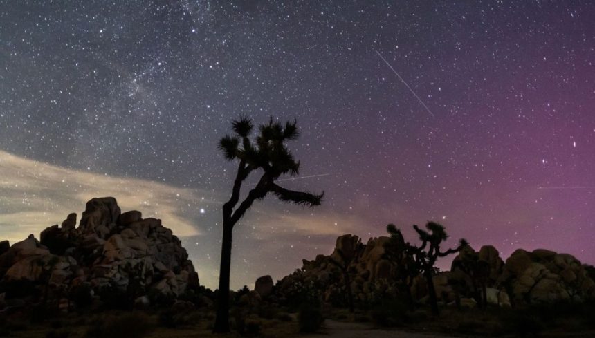 Perseid Meteor Shower